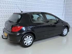 Peugeot 307 (2006) thumbnail 10