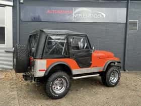 Jeep Cj5 (1979) thumbnail 30