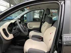 Fiat Panda thumbnail 7