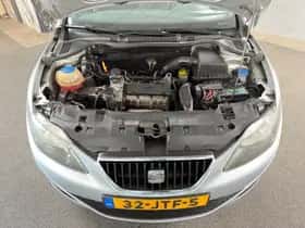 SEAT Ibiza (2009) thumbnail 12