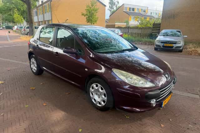Peugeot 307 (2006) thumbnail 1