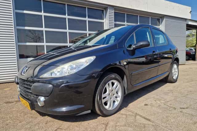 Peugeot 307 (2006) thumbnail 1