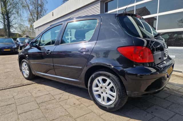 Peugeot 307 (2006) thumbnail 2