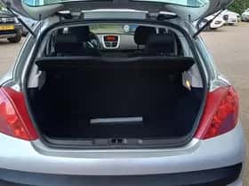 Peugeot 207 (2007) thumbnail 12