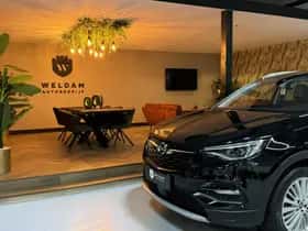 Opel Grandland X thumbnail 11