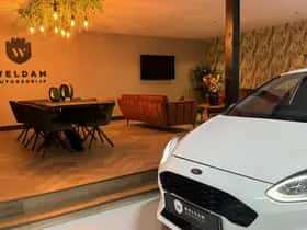 Ford Fiesta (2018) thumbnail 14