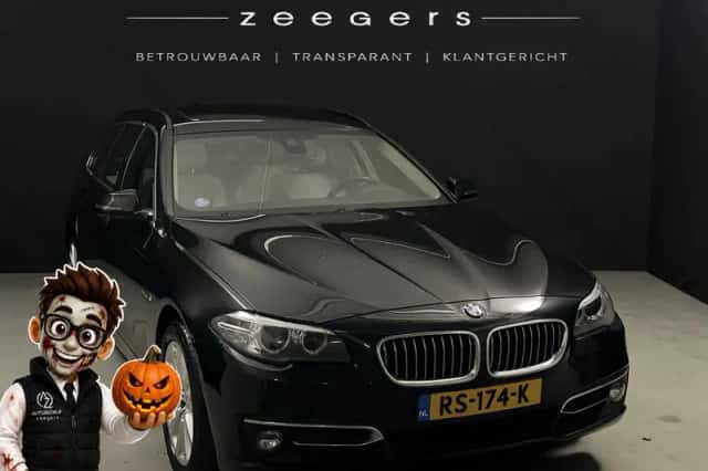 BMW 5-Serie (2013) thumbnail 1