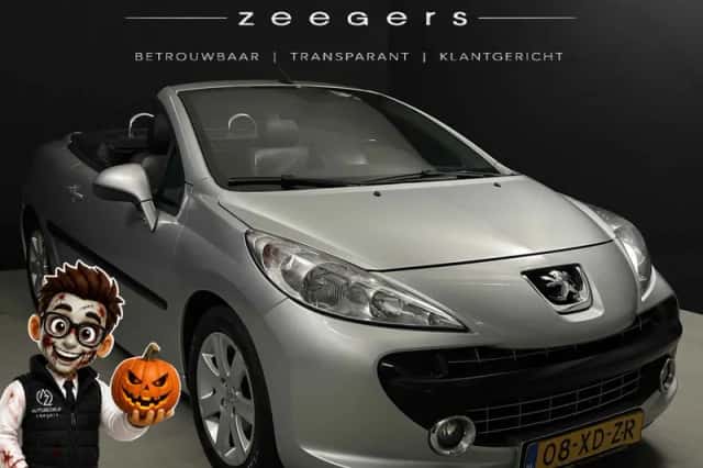 Peugeot 207 (2007) thumbnail 1
