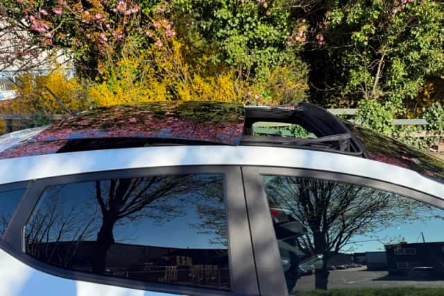 Ford Fiesta (2019) thumbnail 3