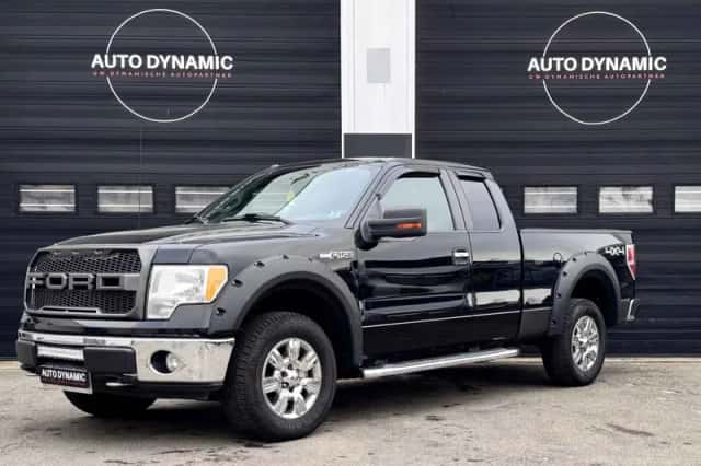 Ford F-150 (2009) thumbnail 1