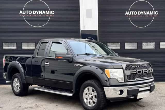 Ford F-150 (2009) thumbnail 2