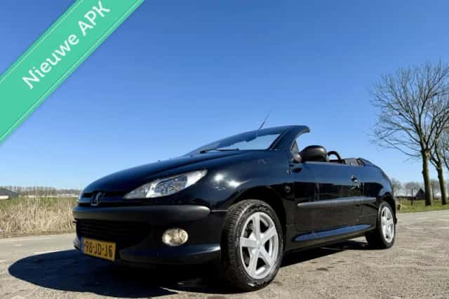 Peugeot 206 (2002) thumbnail 1