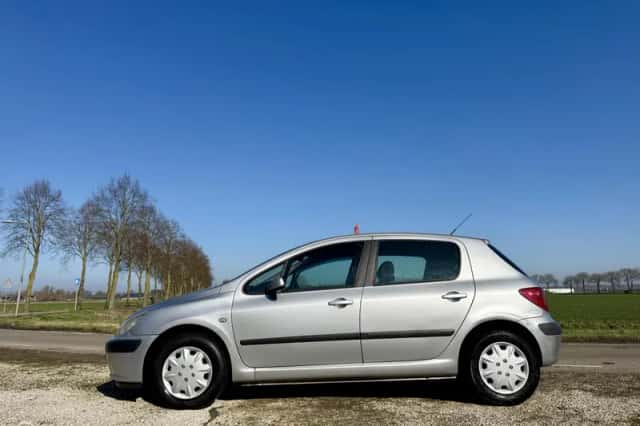 Peugeot 307 (2002) thumbnail 2