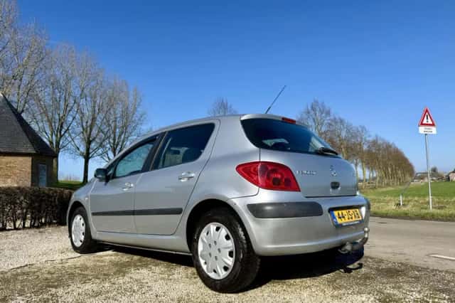 Peugeot 307 (2002) thumbnail 3