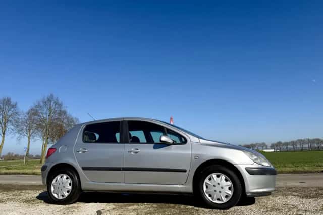 Peugeot 307 (2002) thumbnail 5