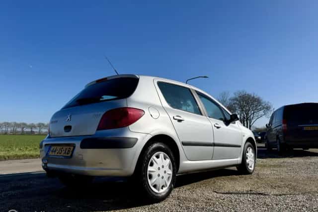 Peugeot 307 (2002) thumbnail 6