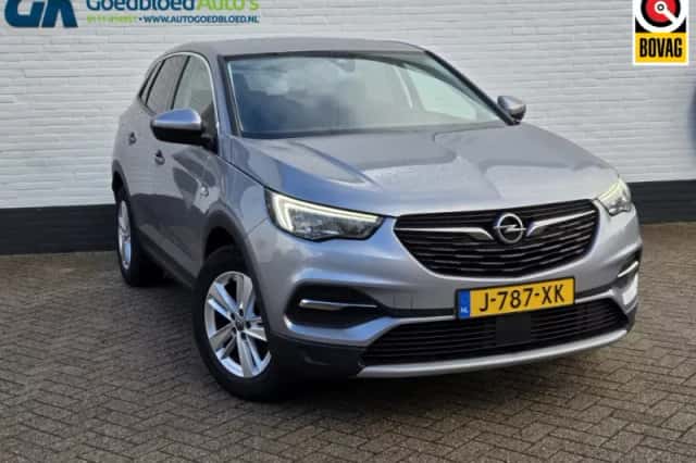 Opel Grandland X (2020) thumbnail 1