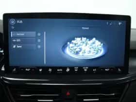 Ford Focus (2024) thumbnail 37