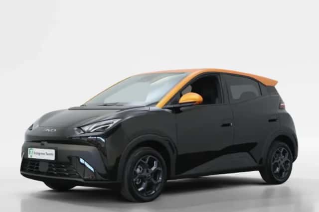 BYD Dolphin (2026) thumbnail 1