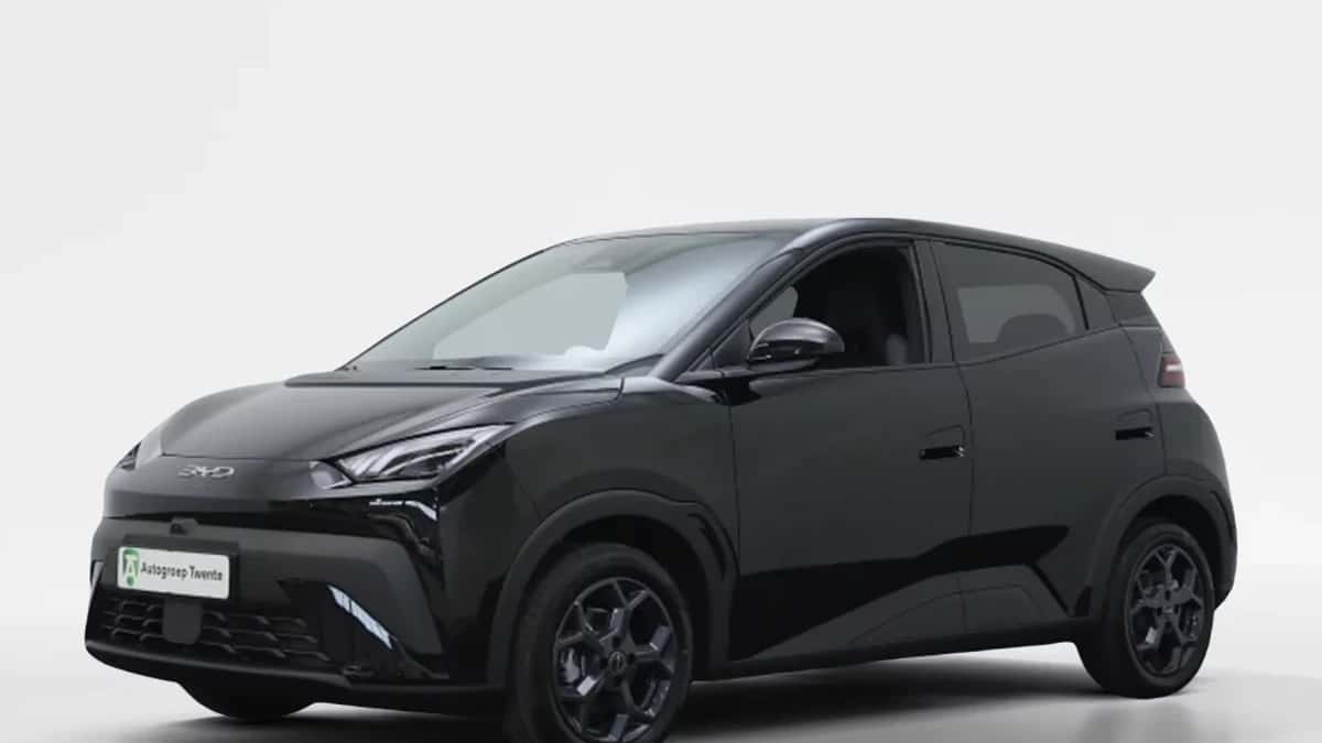 BYD Dolphin (2026) — foto 1