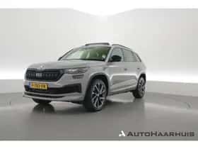 Škoda Kodiaq (2022) thumbnail 1