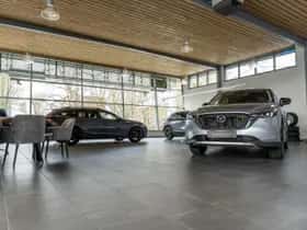 Honda CR-V (2019) thumbnail 8