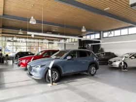 Honda CR-V (2019) thumbnail 9