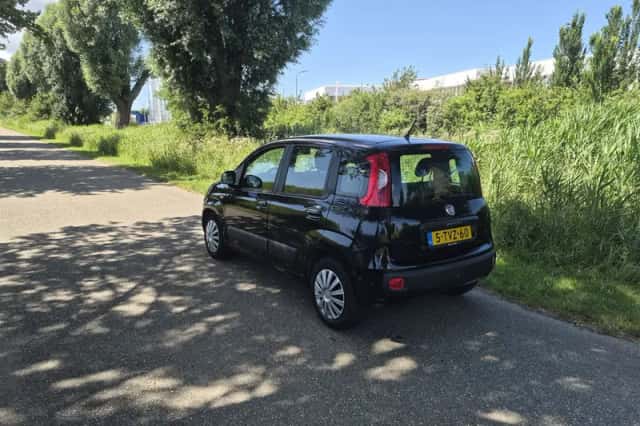 Fiat Panda (2014) thumbnail 4