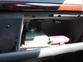 Peugeot 407 (2005) thumbnail 36