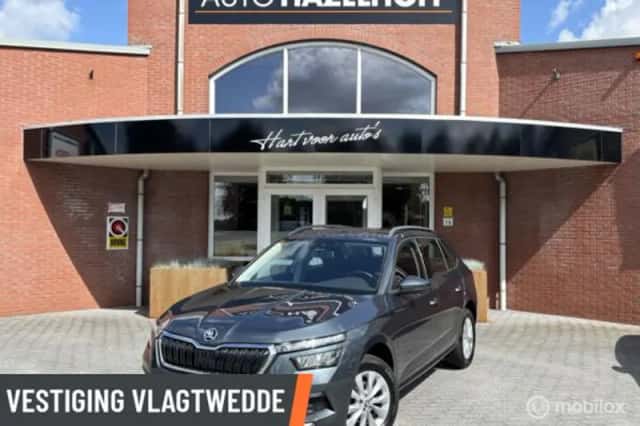 Škoda Kamiq (2021) thumbnail 1