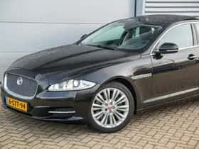 Jaguar XJ (2013) thumbnail 32