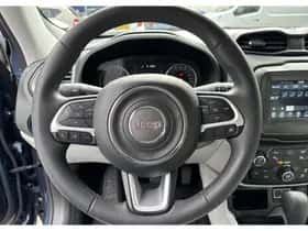 Jeep Renegade (2020) thumbnail 18