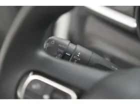 Citroën C3 (2019) thumbnail 29