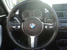 BMW 2-Serie (2017) thumbnail 21