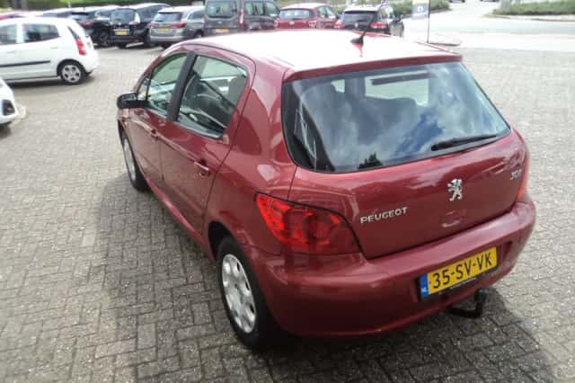 Peugeot 307 (2006) thumbnail 6
