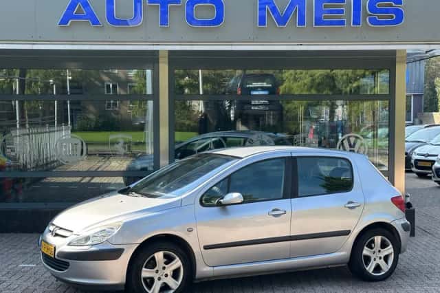 Peugeot 307 (2002) thumbnail 1