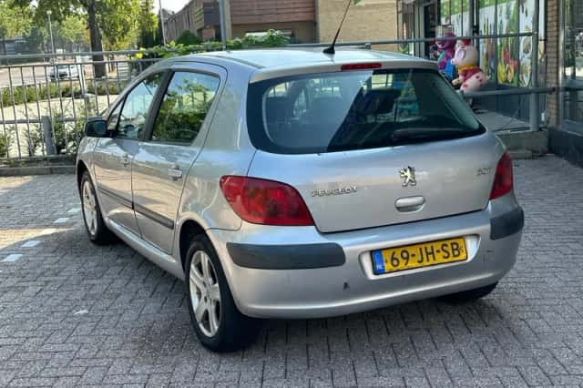 Peugeot 307 (2002) thumbnail 4