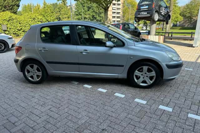 Peugeot 307 (2002) thumbnail 6
