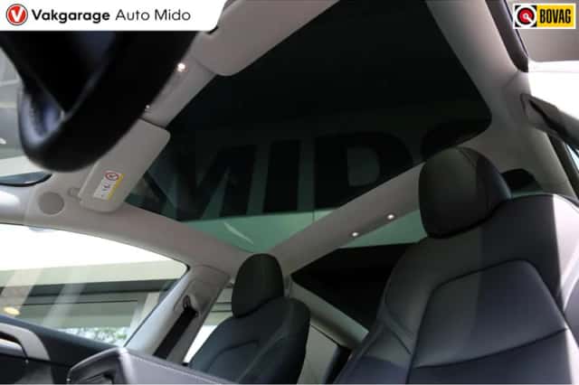 Tesla Model (2022) thumbnail 4