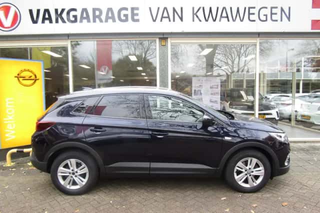 Opel Grandland X (2019) thumbnail 1
