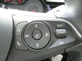 Opel Crossland X (2019) thumbnail 17