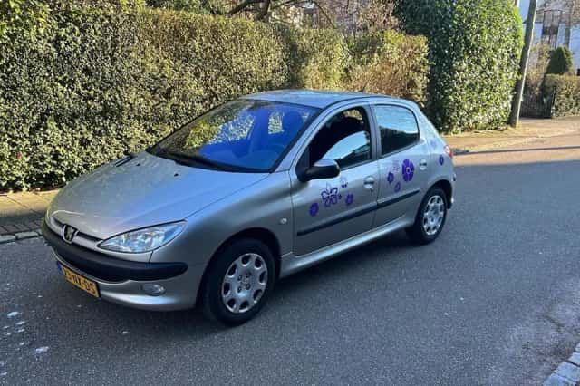 Peugeot 206 (2004) thumbnail 1