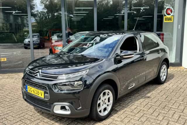Citroën C4 Cactus (2018) thumbnail 2
