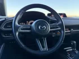 Mazda CX-30 (2019) thumbnail 17