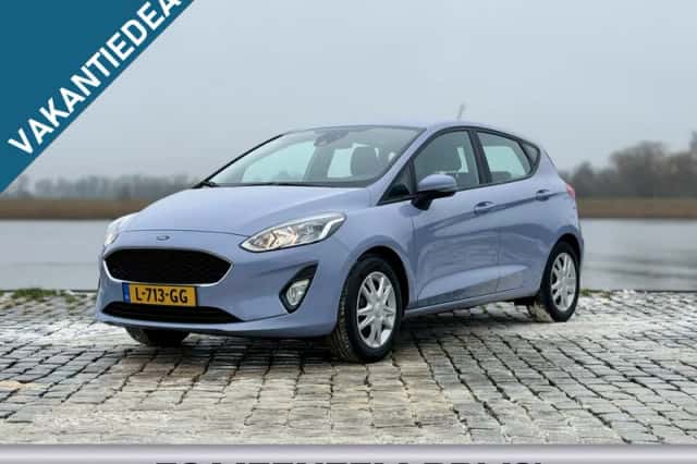 Ford Fiesta (2021) thumbnail 1