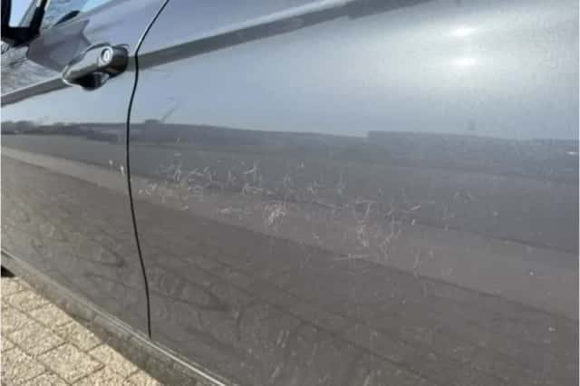 BMW 3-Serie (2013) thumbnail 18