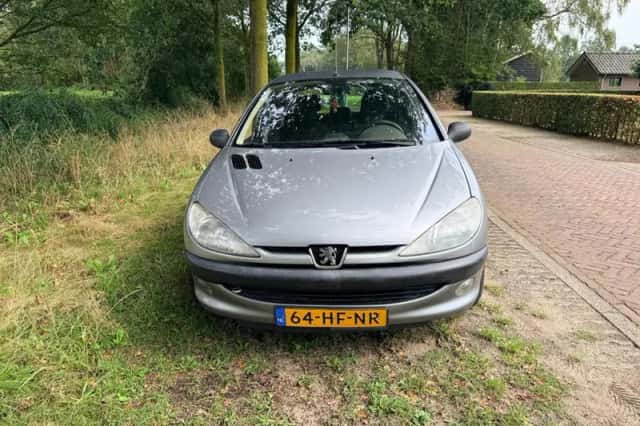 Peugeot 206 (2001) thumbnail 1