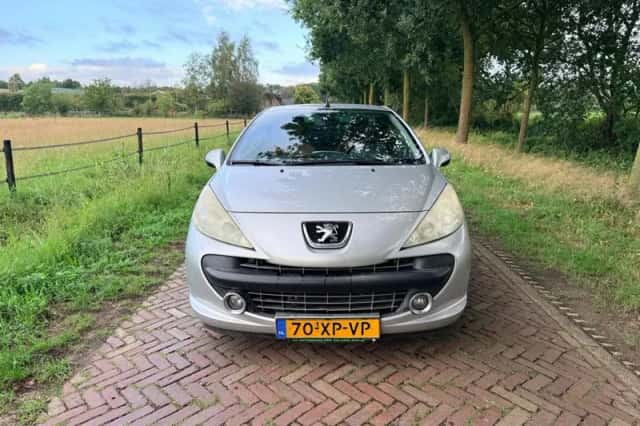 Peugeot 207 (2007) thumbnail 1