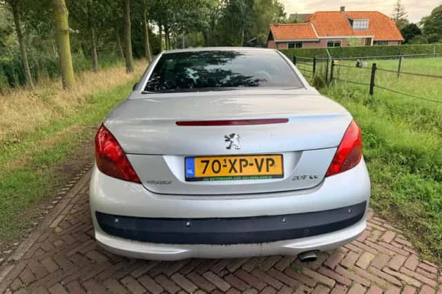 Peugeot 207 (2007) thumbnail 6