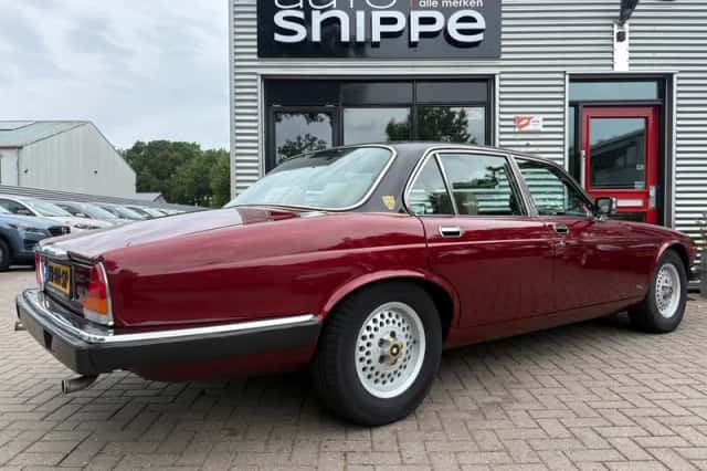 Jaguar XJ (1979) thumbnail 4